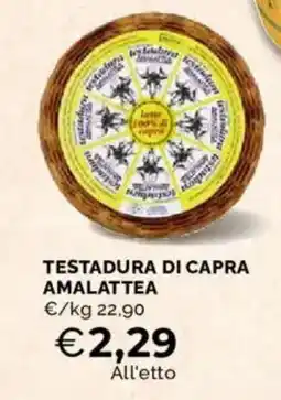 Mercatò Testadura di capra amalattea offerta