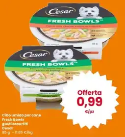 Interspar Cibo umido per cane Fresh Bowls Cesar offerta