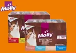 Interspar Bocconcini per gatto in gelatina/in Bocconcini per gatto in gelatina/in salsa Molly offerta