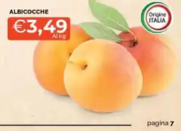 Mercatò Albicocche offerta