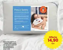 Interspar Guanciale 45x75 cm offerta