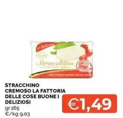 Mercatò Stracchino cremoso la fattoria delle cose buone i deliziosi offerta