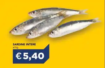 SARDINE INTERE