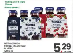 Eurospar NETTARE ZUEGG MIRTILLI/ MELOGRANO IN VETRO 125ML X6 offerta