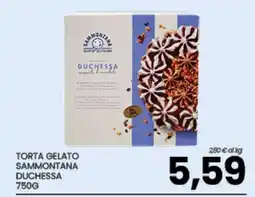 Eurospar TORTA GELATO SAMMONTANA DUCHESSA offerta