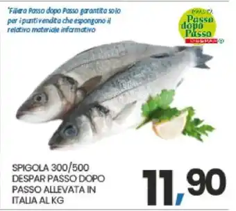 Eurospar SPIGOLA 300/500 offerta