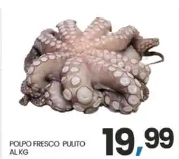 Eurospar POLPO FRESCO PULITO AL KG offerta