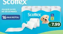 Acqua & Sapone Scottex Pulito Completo offerta