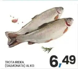 Eurospar TROTA IRIDEA offerta