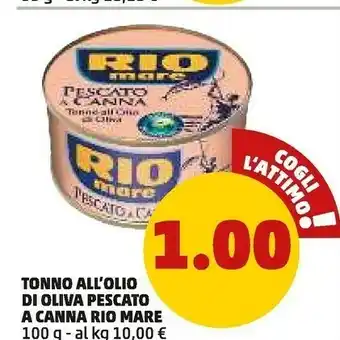 PENNY Tonno pescato a canna offerta