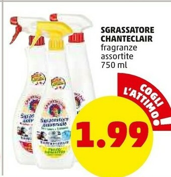 PENNY Sgrassatore offerta