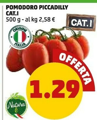 PENNY Pomodoro piccadilly offerta