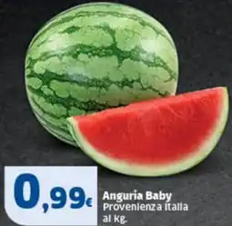 Sigma Anguria Baby offerta