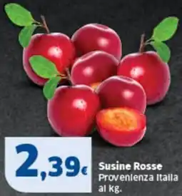 Sigma Susine Rosse offerta