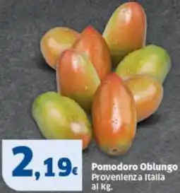 Sigma Pomodoro Oblungo offerta