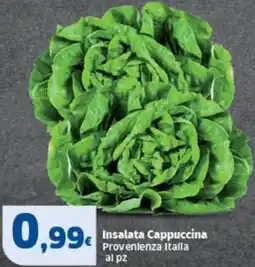 Sigma Insalata Cappuccina offerta
