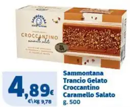 Sigma Sammontana Trancio Gelato Croccantino Caramello Salato offerta