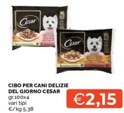 Mercatò Cibo per cani delizie del giorno CESAR offerta