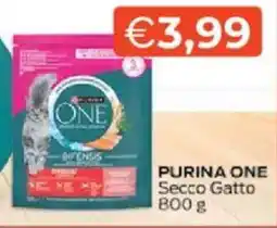 Mercatò PURINA ONE Secco Gatto offerta