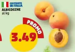 PENNY Albicocche offerta