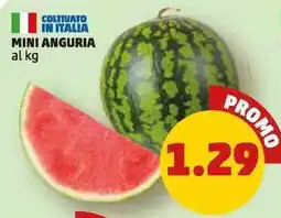 PENNY Mini anguria offerta