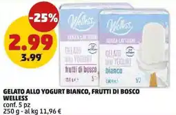 PENNY Gelato allo yogurt bianco, frutti di bosco WELLESS offerta