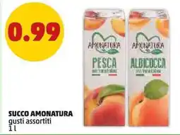 PENNY Succo AMONATURA offerta