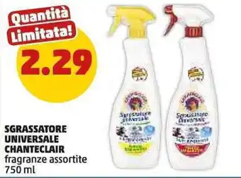 PENNY Sgrassatore universale CHANTECLAIR offerta