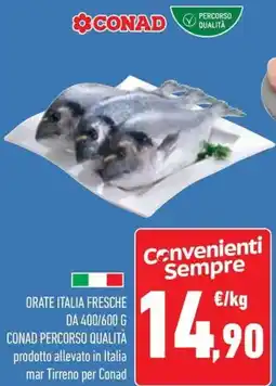 Conad Orate italia fresche CONAD PERCORSO QUALITÀ offerta