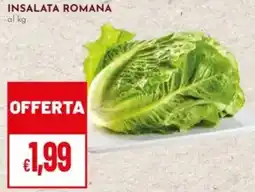 Pan Insalata romana offerta