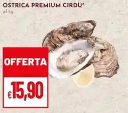 Pan Ostrica premium cirdu offerta