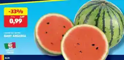 ALDI Baby Anguria offerta