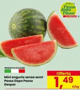 Eurospar Mini anguria senza semi Passo Dopo Passo Despar offerta