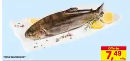 Eurospar TROTA SALMONATA offerta