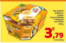 Conad Kiwi Zespri Sungold offerta