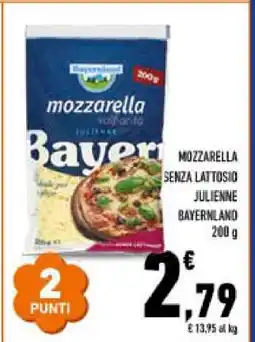 Conad MOZZARELLA SENZA LATTOSIO JULIENNE BAYERNLAND 200 g offerta