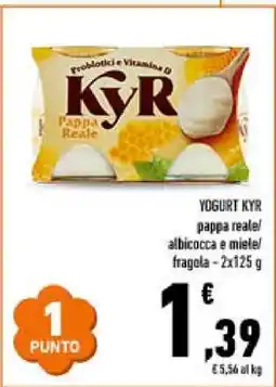 Conad YOGURT KYR offerta