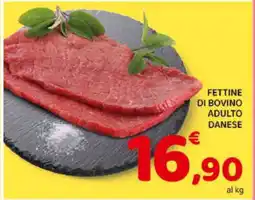 Conad Fettine di Bovino Adulto Danese offerta