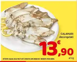 Conad Calamari Decongelati offerta