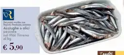 Conad Acciughe o alici pescate nel mar tirreno offerta