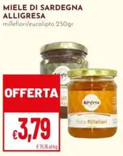 Pan Miele di sardegna ALLIGRESA offerta