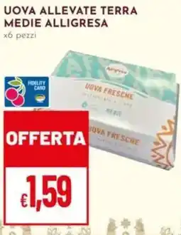 Pan Uova allevate terra medie ALLIGRESA offerta