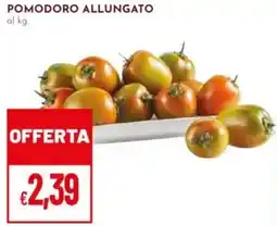 Pan Pomodoro allungato offerta