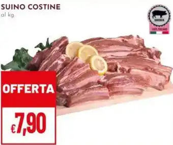 Pan Suino costine offerta