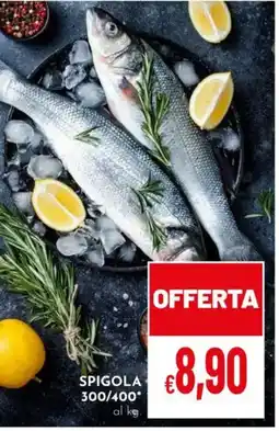 Pan Spigola 300/400° offerta