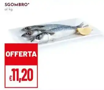 Pan Sgombro offerta