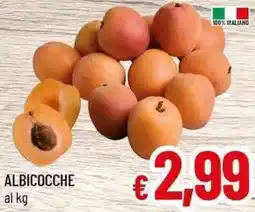A&O Albicocche offerta