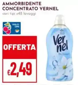 Pan Ammorbidente concentrato VERNEL offerta