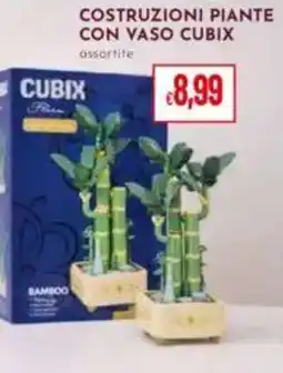 Pan Costruzioni piante con vaso CUBIX offerta
