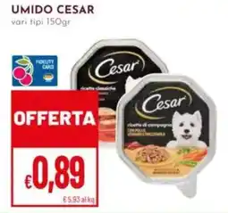 Pan Umido CESAR offerta